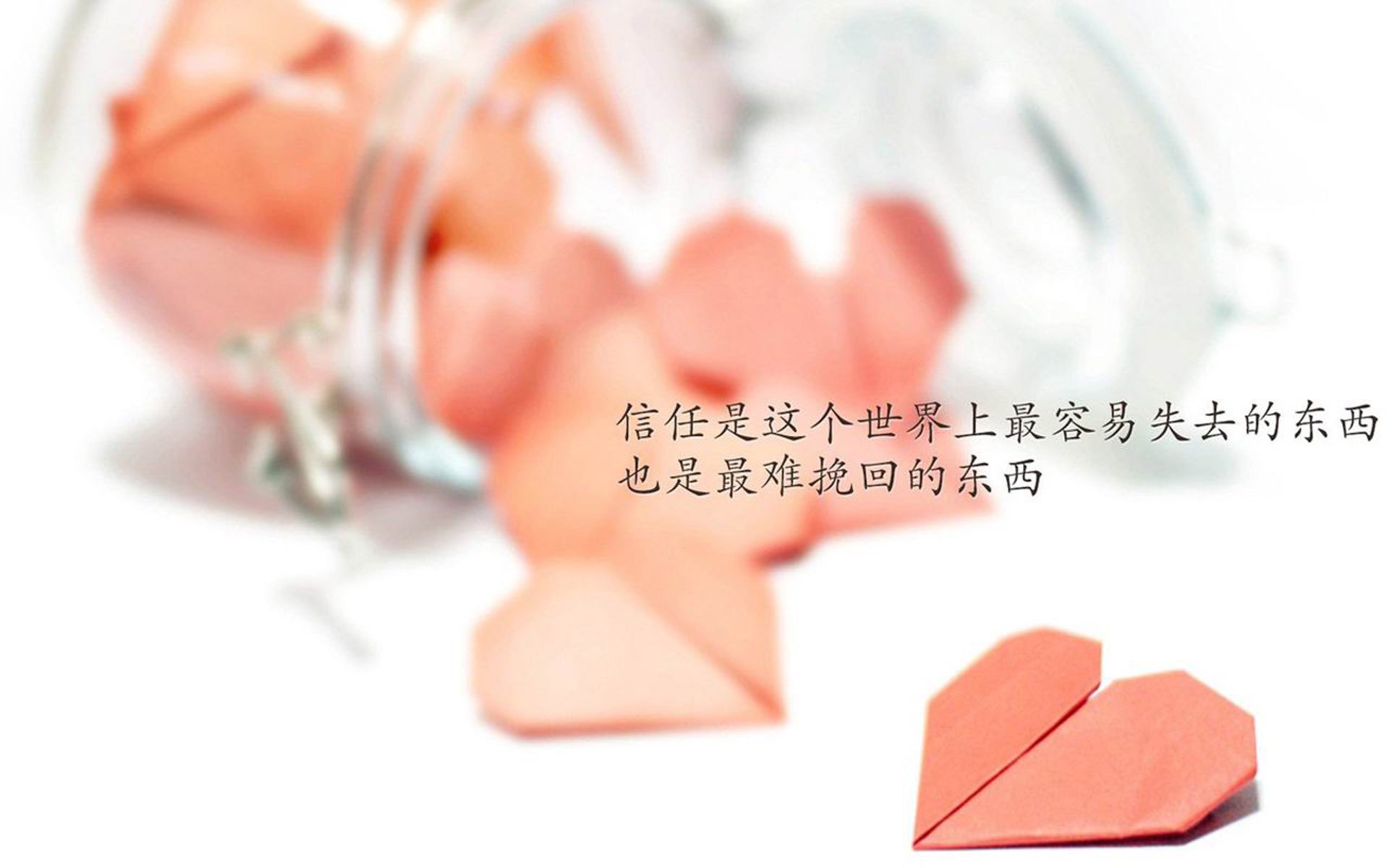 世界乒乓球联赛赛场服务投诉处理机制细化公告，乒乓球国际联赛